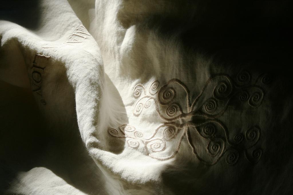 La Maison Lion Cesiomaggiore Cameră foto